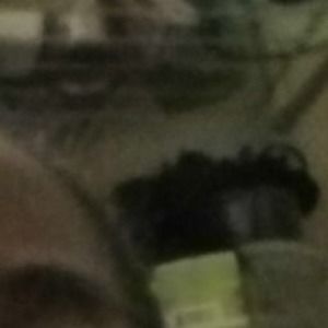 Meet your Posher, Wanda